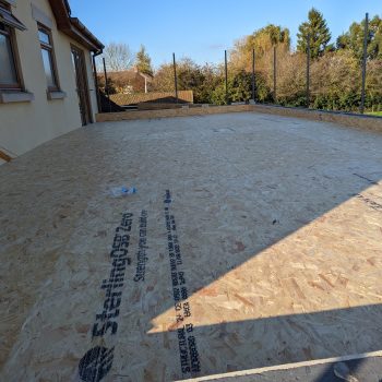 PXL_20221113_134520339